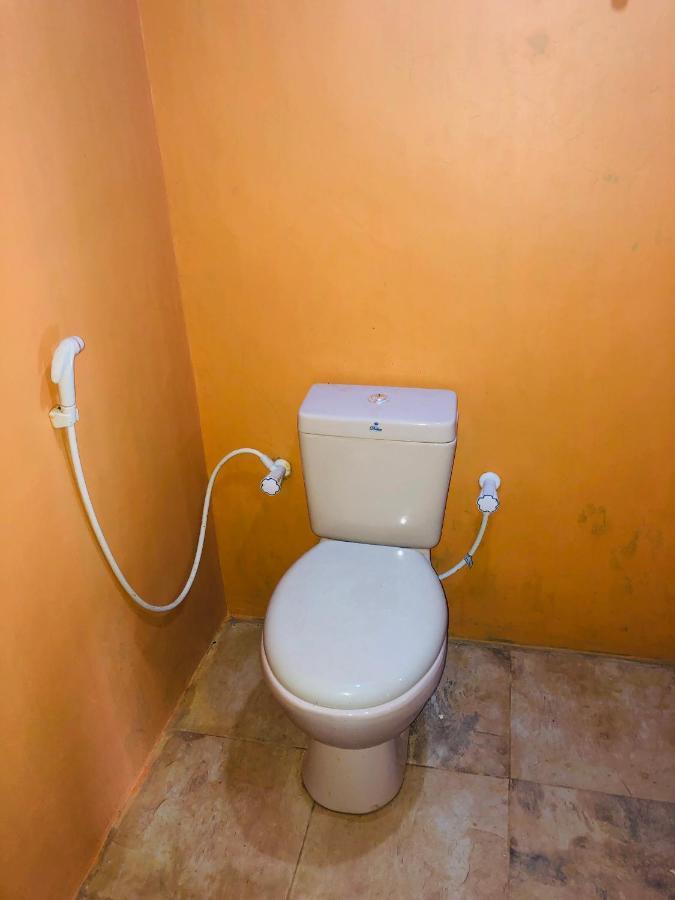 Sigiri Lion Eco Palace Сигирия Экстерьер фото
