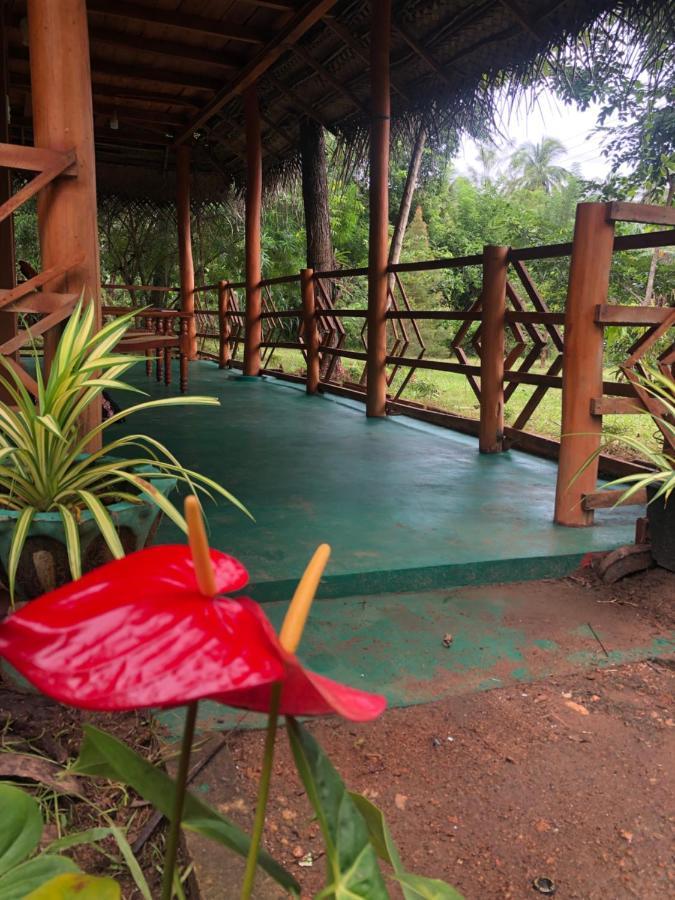 Sigiri Lion Eco Palace Сигирия Экстерьер фото