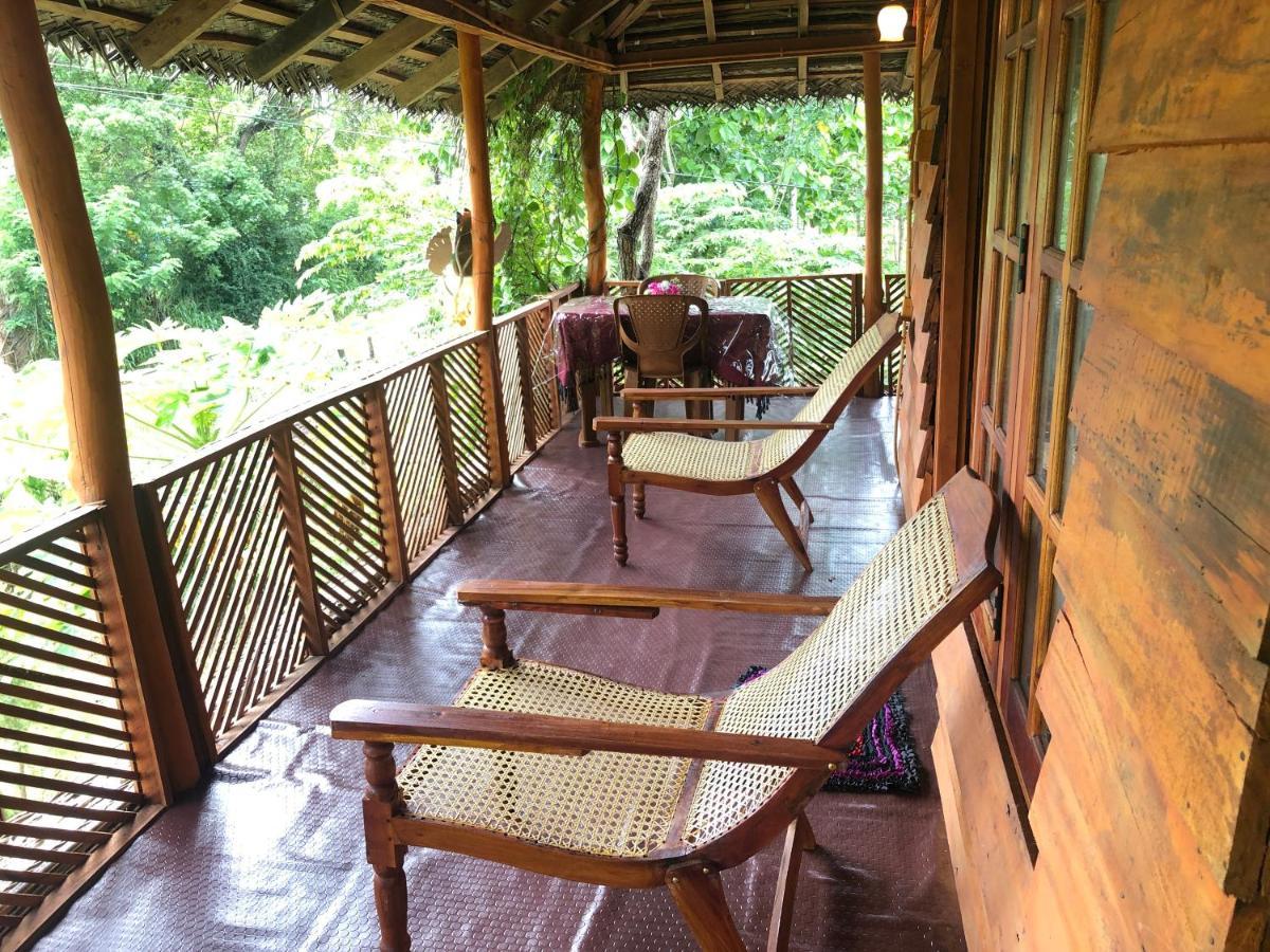 Sigiri Lion Eco Palace Сигирия Экстерьер фото