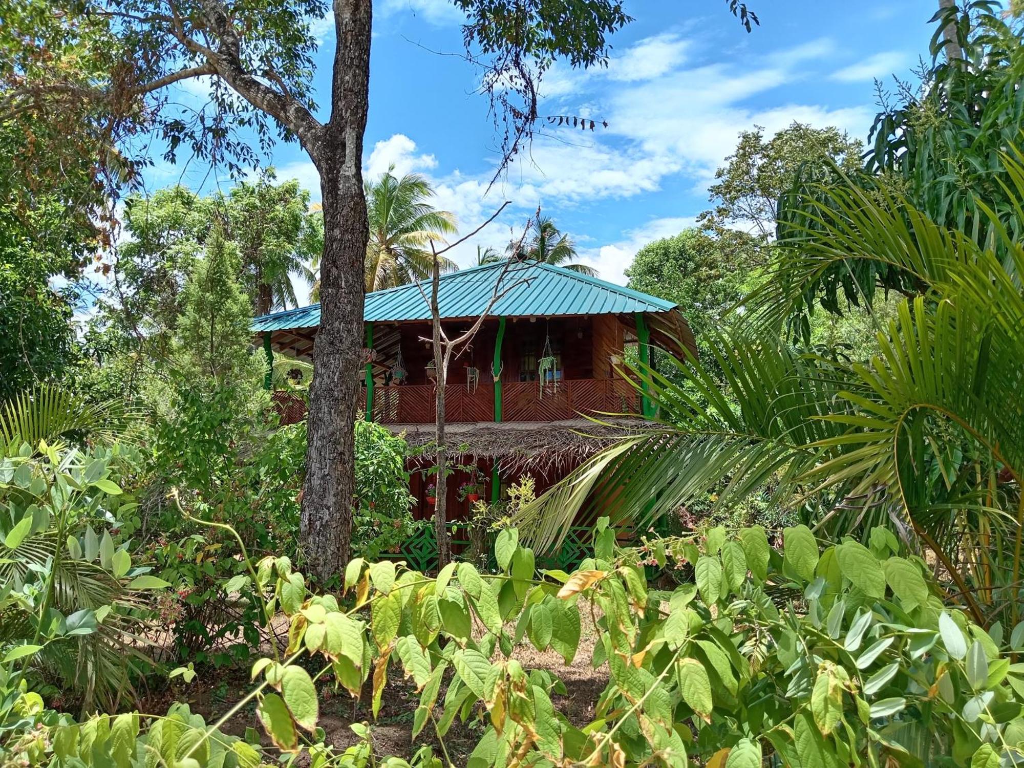 Sigiri Lion Eco Palace Сигирия Экстерьер фото
